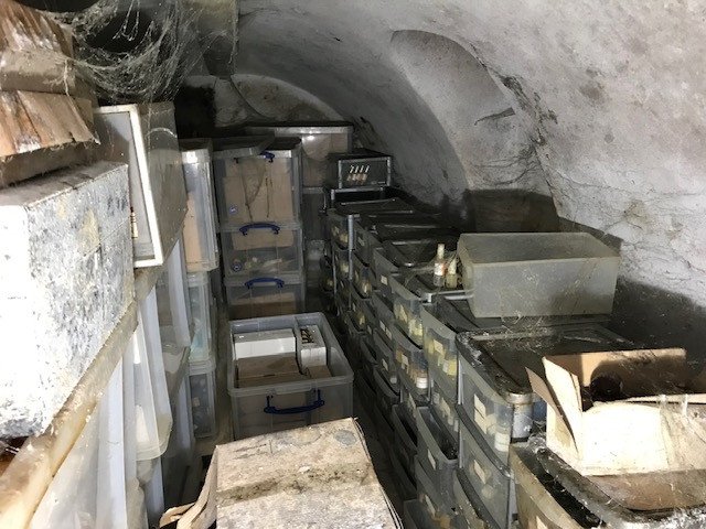 Case Study - Mould Remediation
